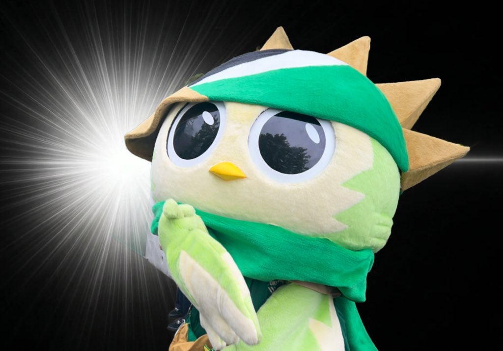 VK💚🐥